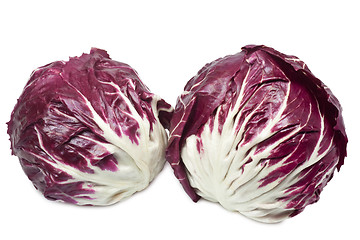 Image showing Radicchio