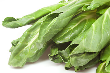 Image showing Chard