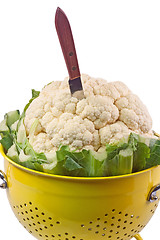 Image showing Preparation of cauliflower