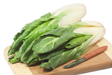 Image showing Spinach beet