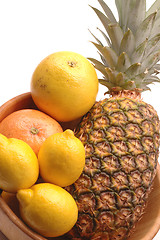 Image showing citrus 1204