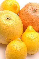 Image showing lemons and grapefruits