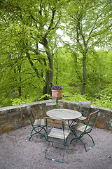 Image showing Beech trees scenery