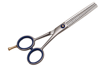 Image showing Thinning scissors