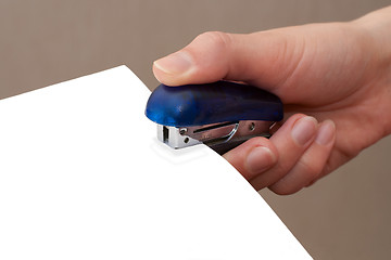 Image showing Stapling