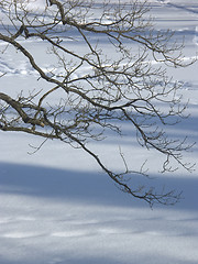 Image showing Snow scene