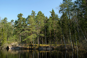 Image showing Reflections on Forest Lake