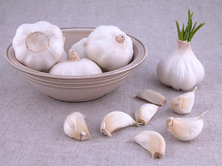 Image showing garlic