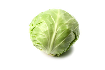 Image showing head of green cabbage