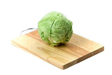 Image showing green cabbage