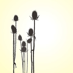 Image showing Thistle, isolated vector objects