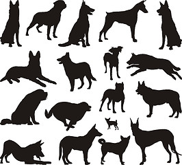 Image showing Dog silhouette