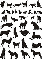 Image showing Cats and dogs