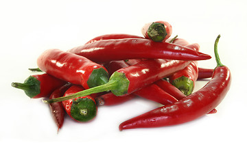 Image showing Chili peppers