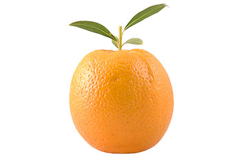 Image showing orange with leaves