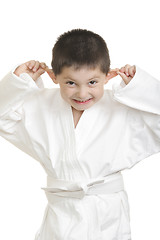 Image showing Little frolic karate kid