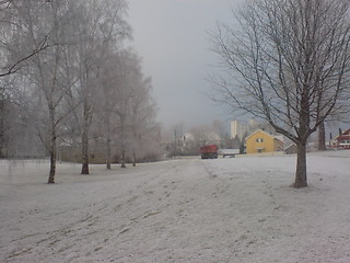 Image showing Snowy Mysen