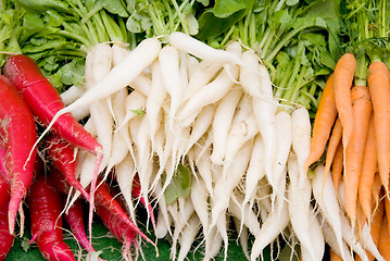 Image showing radish carrots