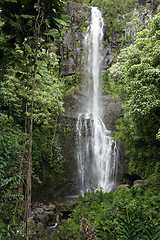 Image showing Road To Hana Waterfall