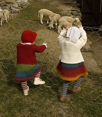 Image showing Children looking at lambs