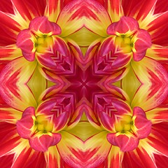 Image showing Dahlia Seamless Tile Background