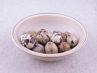 Image showing quail eggs