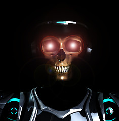 Image showing Skeleton Armour