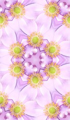 Image showing Japanese Anemone Pattern Background