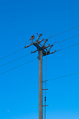 Image showing Electric pole