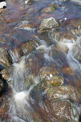 Image showing Brook