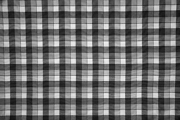 Image showing fabric print with black and white grid