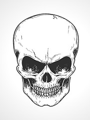 Image showing human skull