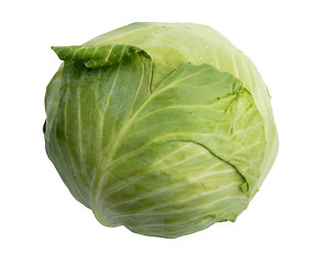 Image showing Single green cabbage.