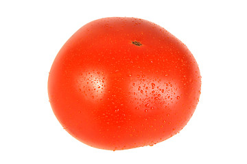 Image showing Dew on red single tomato.