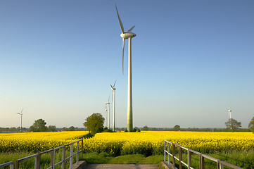 Image showing Rape and  Wind Power