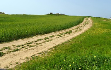 Image showing Country road among green hills and meadows