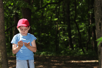 Image showing Boy examines own hands