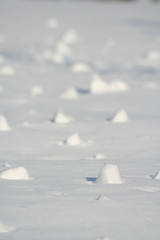 Image showing Snow