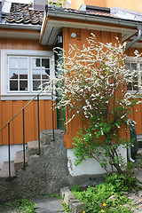 Image showing Yellow house with blooming tree