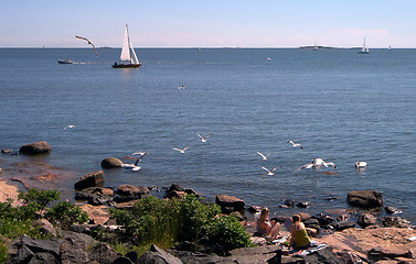 Image showing Rocky beach