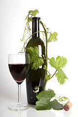 Image showing Glass red wine and bottle with grape´s leafs