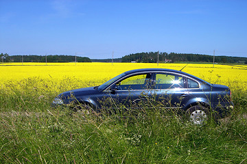 Image showing The car on a background of a glade of yellow flowers