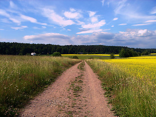 Image showing Road, meadow, the sky and clouds