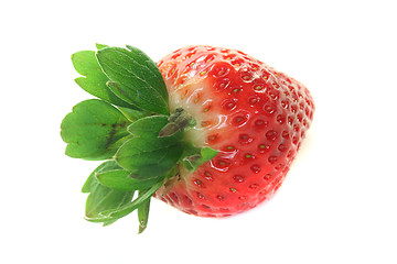 Image showing strawberry