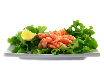 Image showing Shrimps