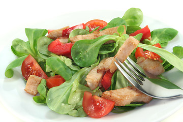 Image showing Mixed salad with chicken strips