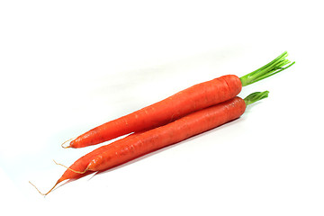 Image showing Carrots