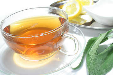 Image showing Sage tea