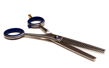 Image showing Thinning scissors