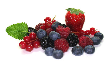 Image showing Berries